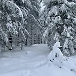 Bergstadthütte Harz Ferienhaus