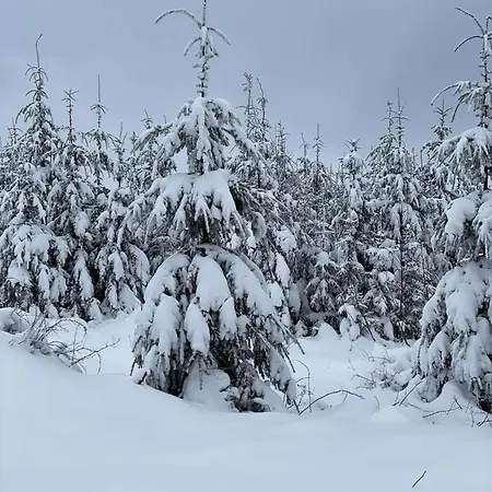 Bergstadthuette Harz 別荘