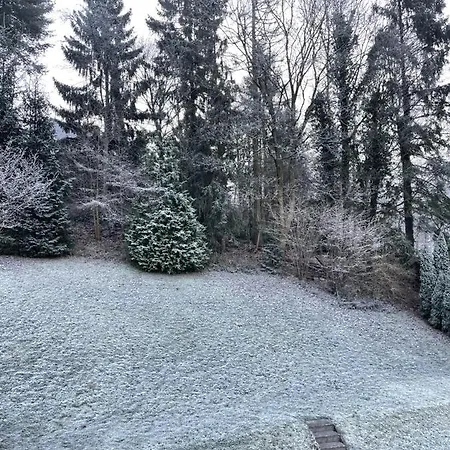 Bergstadthuette Harz Holiday home