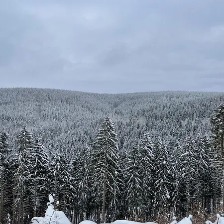 Bergstadthuette Harz バート・グランド