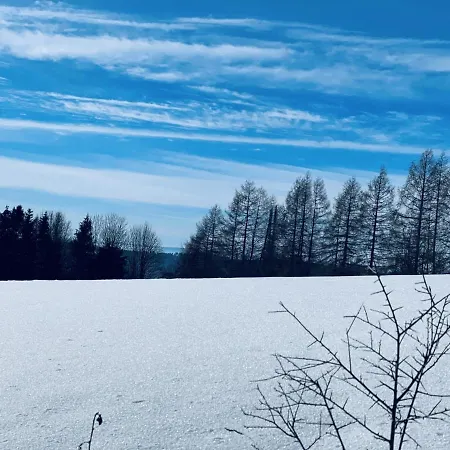 Bergstadthuette Harz 別荘 バート・グランド