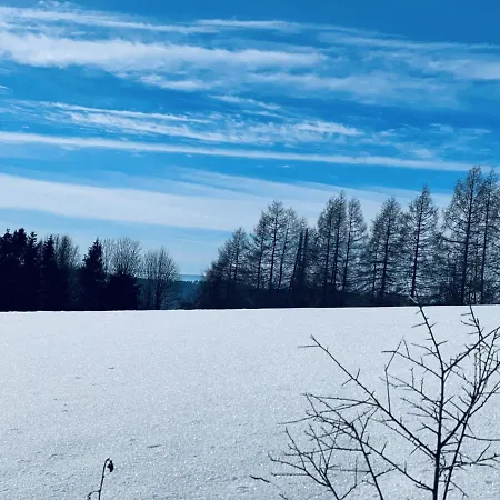 Bergstadthuette Harz Holiday home Bad Grund