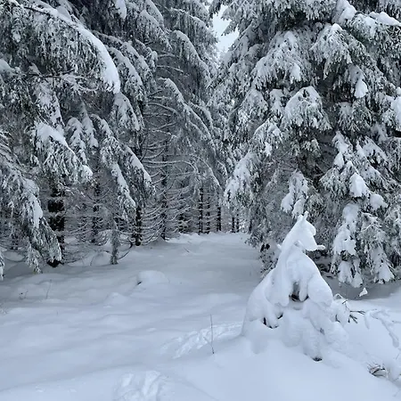 Bergstadthuette Harz 別荘